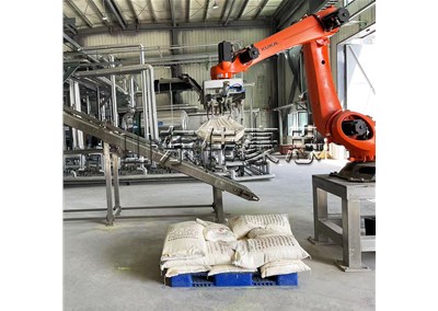 肥料自動(dòng)拆垛機(jī)器人 拆垛機(jī)械手客戶(hù)現(xiàn)場(chǎng)
